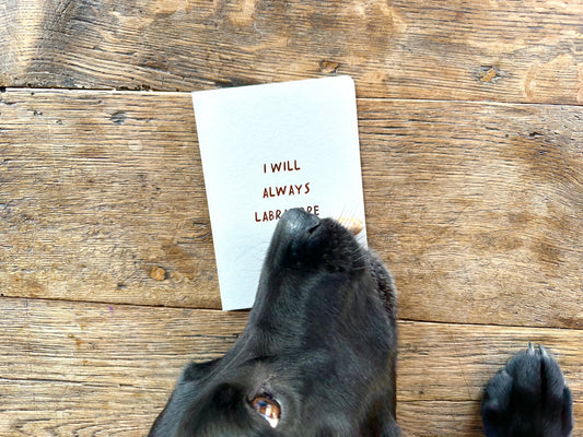 For The Love Of Dogs