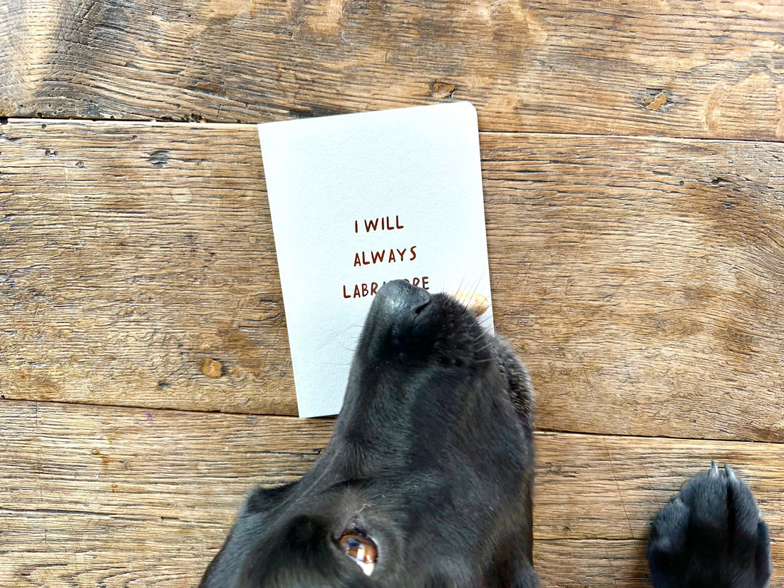 For The Love Of Dogs