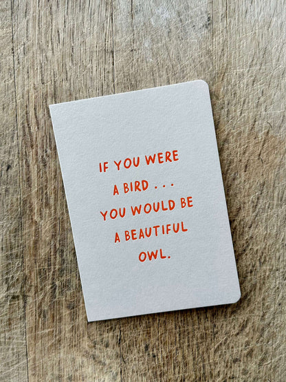 Beautiful Owl YGT05 - Pack of 6