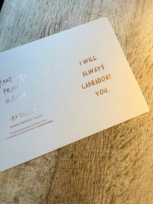 Labradore You DD04 - Pack of 6